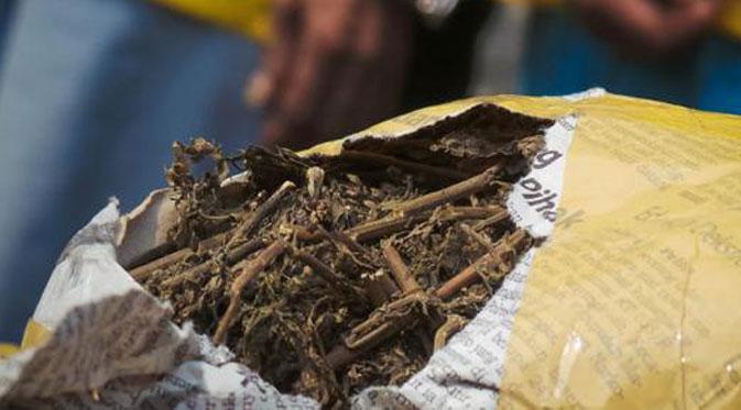 Satnarkoba amankan dua pengedar ganja