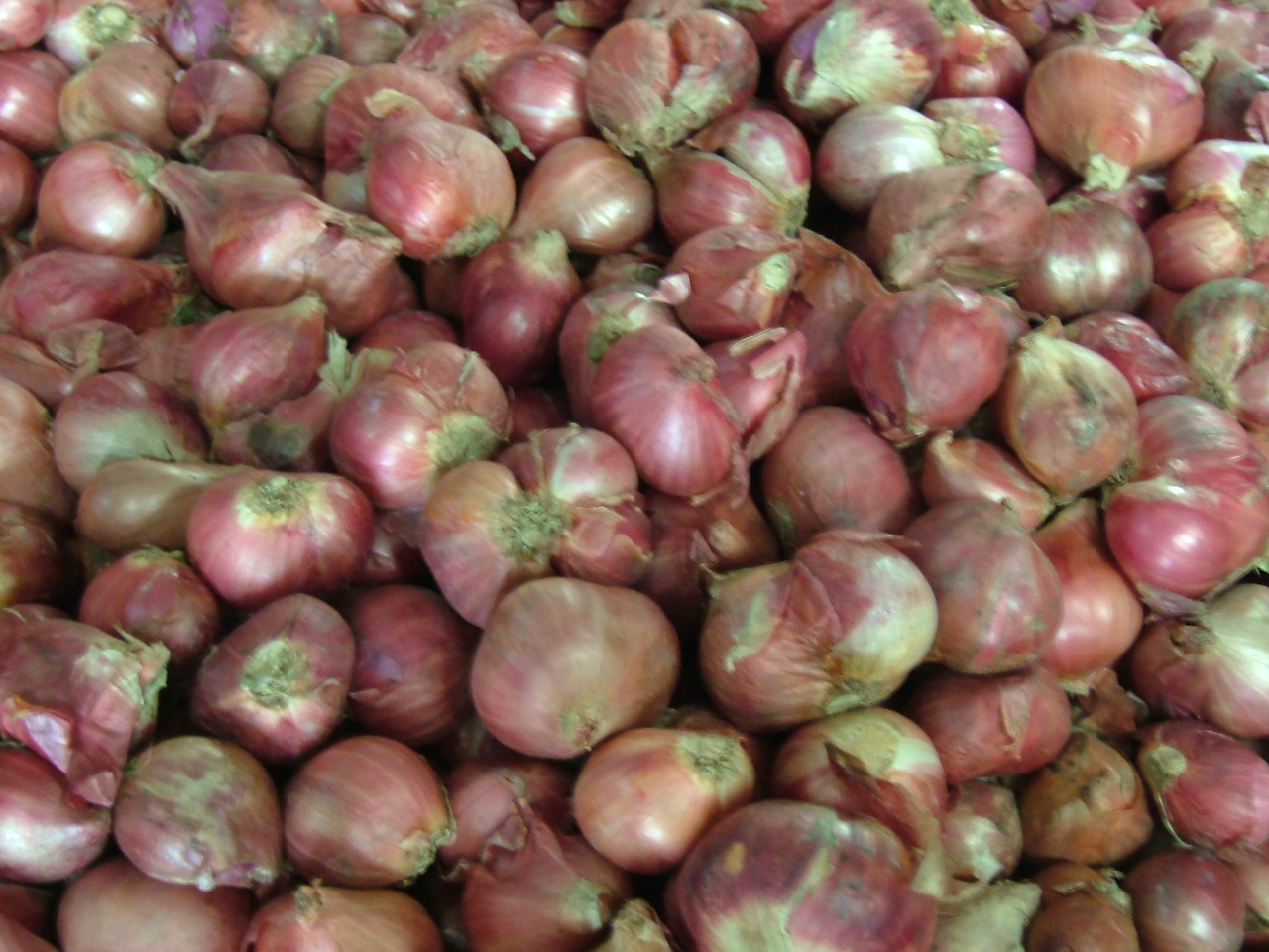 Puluhan ton bawang impor selundupan ditangkap