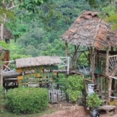 Kreativitas Masyarakat Dirikan Rumah Pohon Di Negeri Atas Awan Berita Tvri Stasiun Sumatera Barat